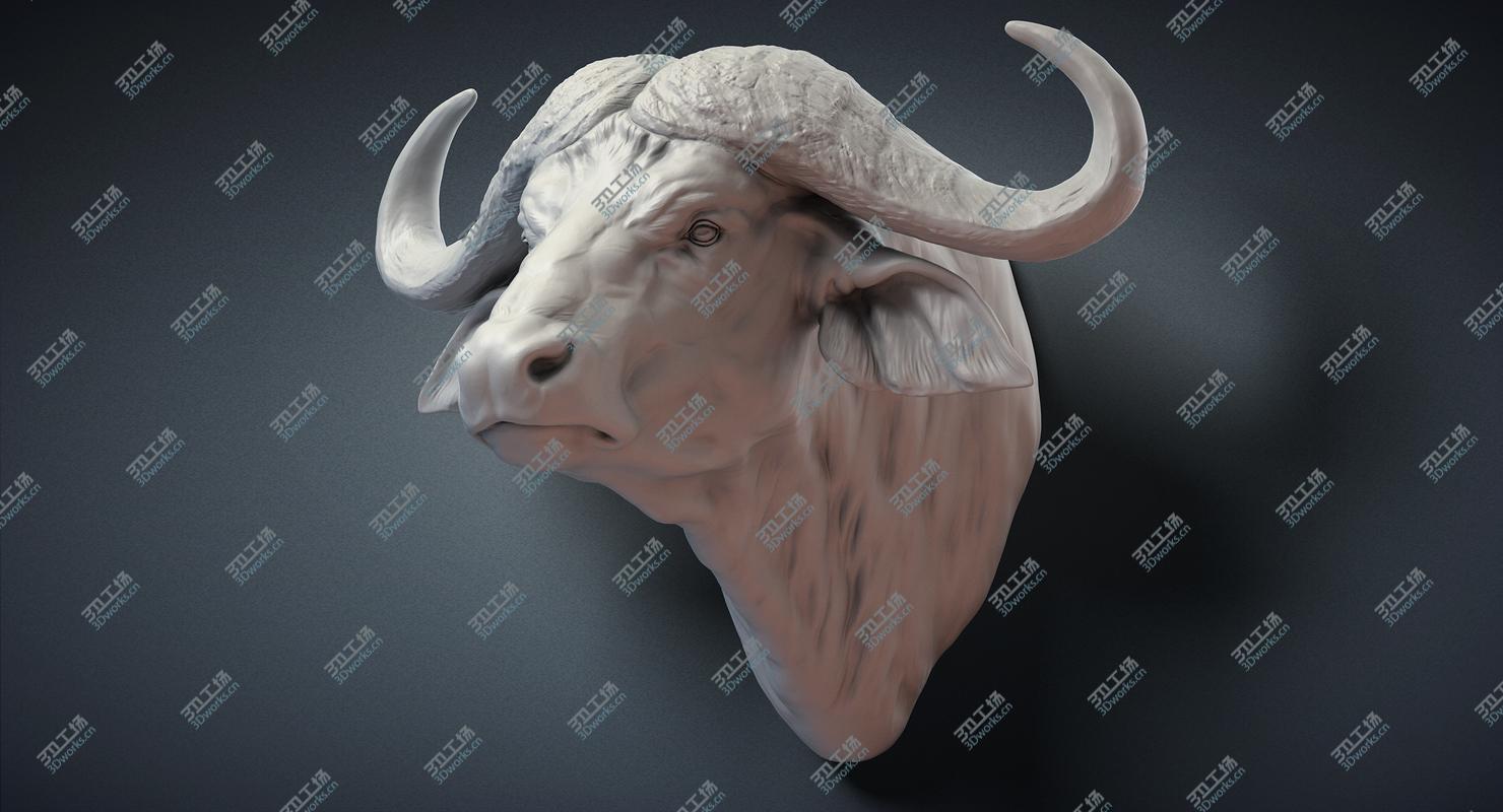images/goods_img/202104094/Cape Buffalo Head Sculpture 3D model/5.jpg
